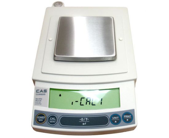 Лабораторные весы Cas CUX-220H(101546)